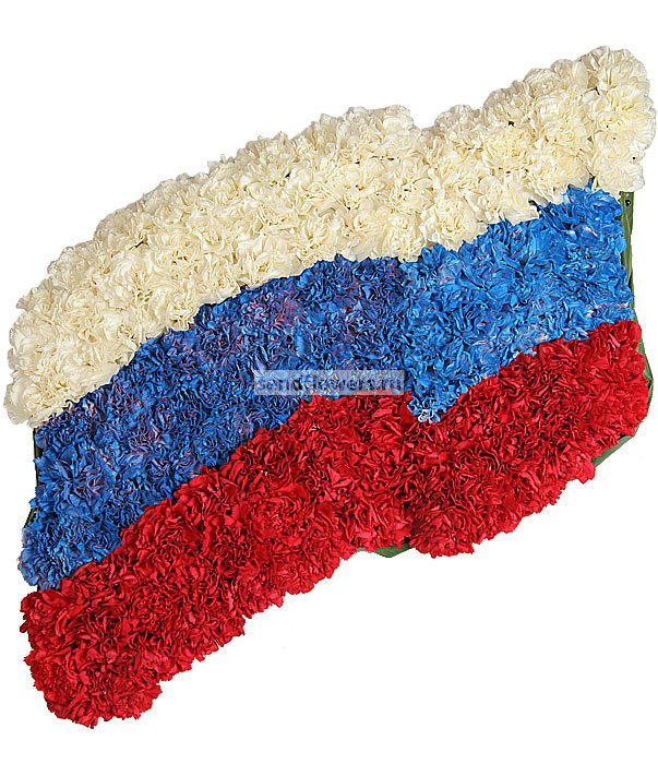 Развивающийся Флаг России Фото